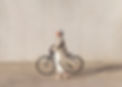 A piedi con la bicicletta