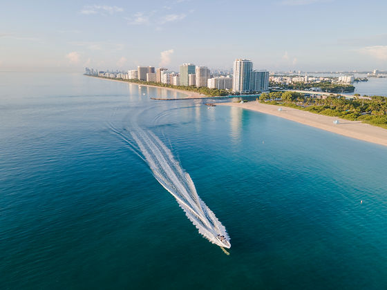 Coastal City Skyline