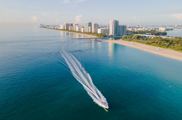 Coastal City Skyline