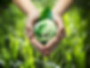 green world in the heart hand