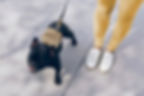 Walking a Dog