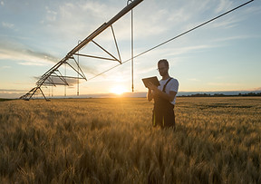 incorporating family farm