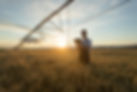 Jovem agricultor