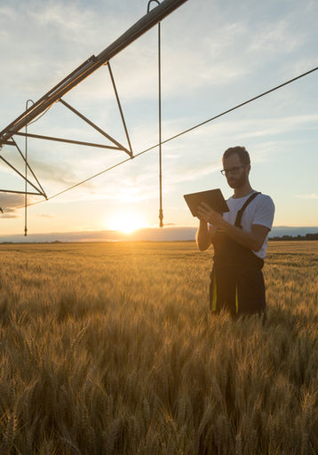 Produção de alimentos, capital para proteger a insegurança alimentar, plano safra, antecipação de safra