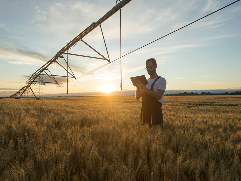 Why American Farmers Are Poised to Secure Greater Global Market Share