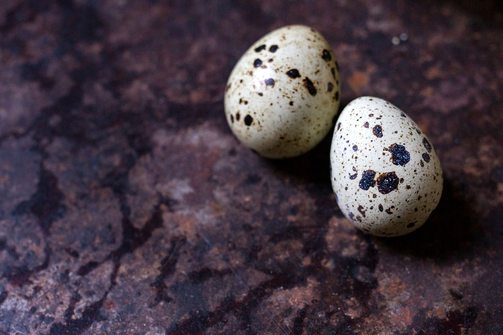 Eggs