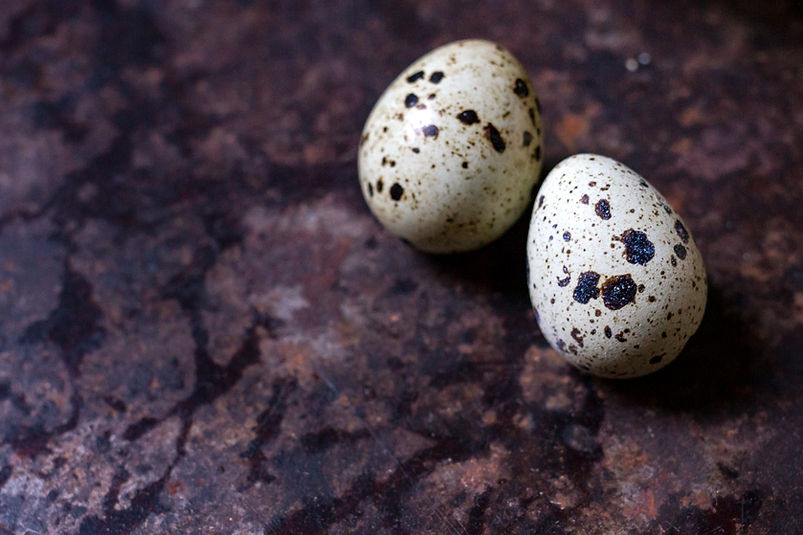 Eggs