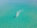 Jet Ski