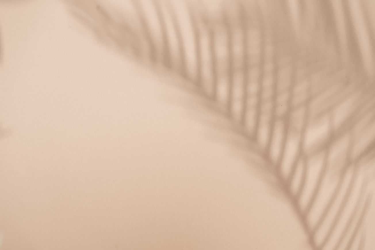Palm Leaf Shadow
