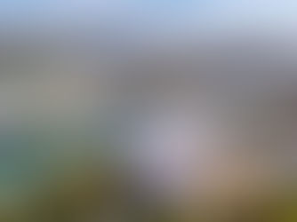 Top Universities in Montreal: A Complete Guide for Students