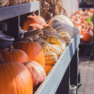Where To: Pumpkin Patches and more!