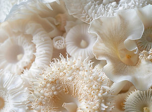 Intricate Coral Details
