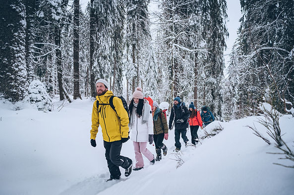 Activité hivernale