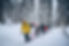 Winter Activity
