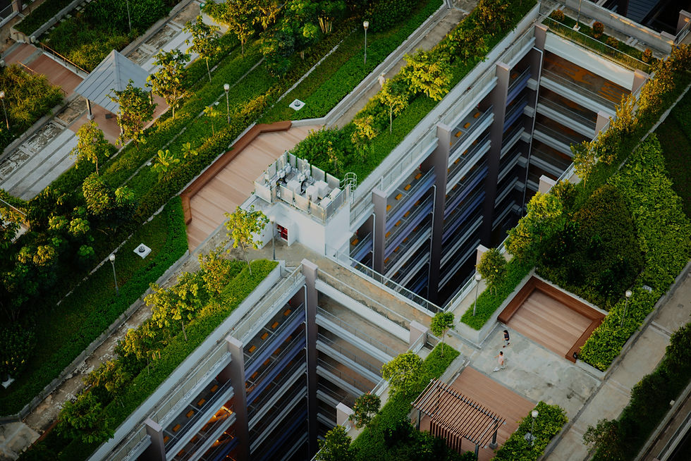 Aerial view of a lush green rooftop garden with pathways, trees, and a central building. Two people walking, creating a serene urban oasis.