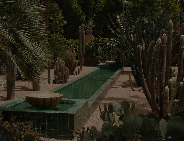 Cactus Garden View