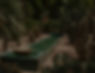 Cactus Garden View