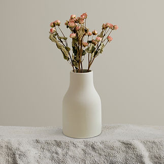 Dry Roses in Vase