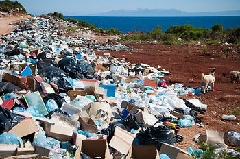 Property management waste solutions by IREP in Austin-area communities