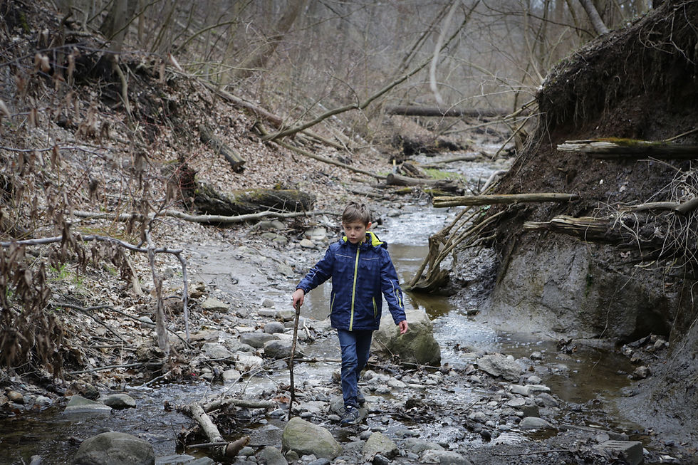 Boy in Forest