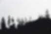 -WarcloudExotics-HomePage-Desciption-