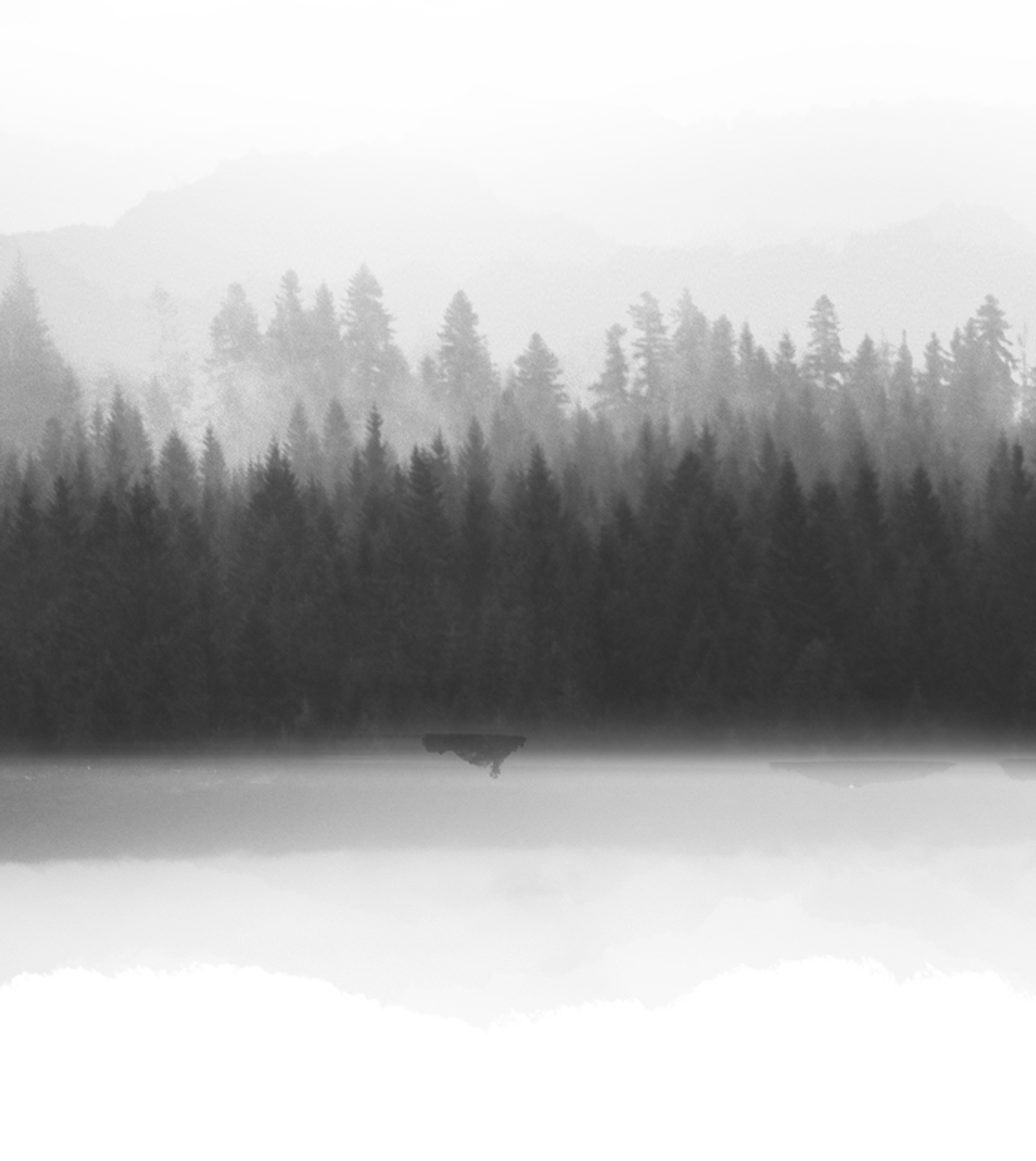 Greyscale Landscape