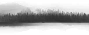 Misty Forest Silhouette