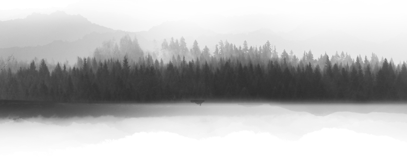 Silhouette de forêt brumeuse