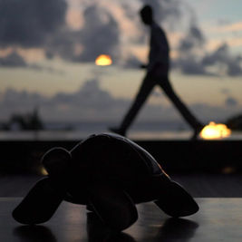 Emergence of Modern Private Clubs: