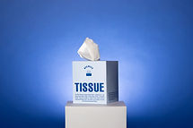 Tissue Box Display