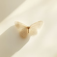 Delicado Mariposa Primer Plano