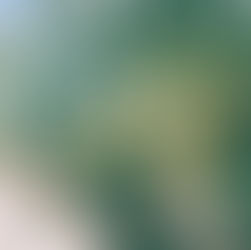 Spotlight on Kisi: The “Forgotten” Grape That’s Becoming a Sommelier Favorite