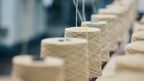 Fast Fashion: Fast Destroying Our Planet?