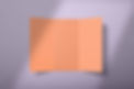Tri-Fold Brochure