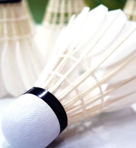 Shuttlecock