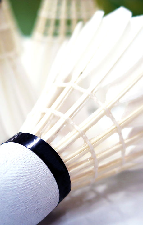 Shuttlecock