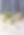 Citrus Fruits