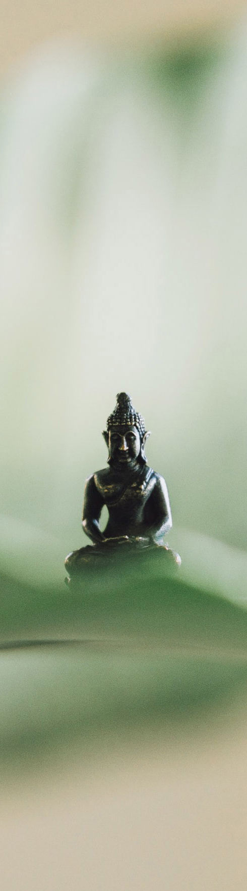 Buddha statue on leaf