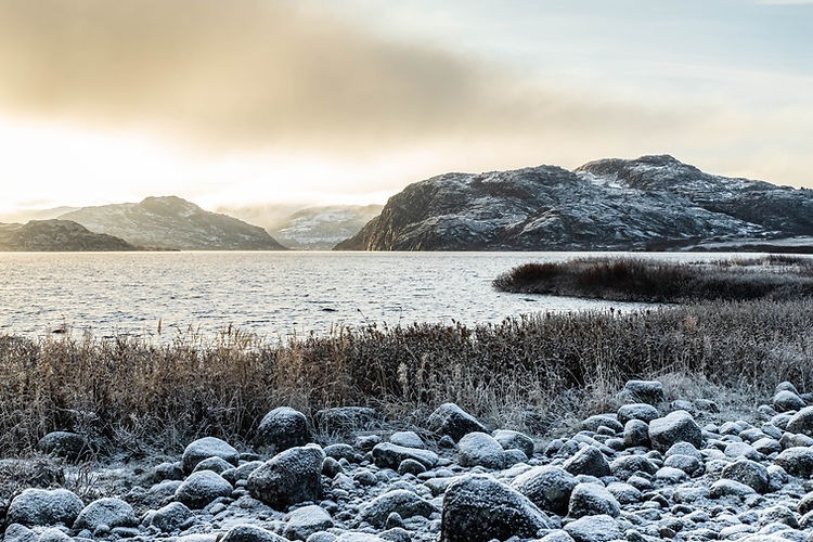 Winter lake