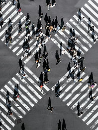 Pedestrain Crossing