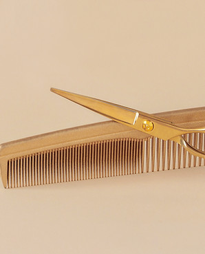 Scissors and Comb