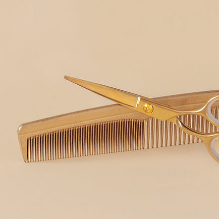 Scissors and Comb