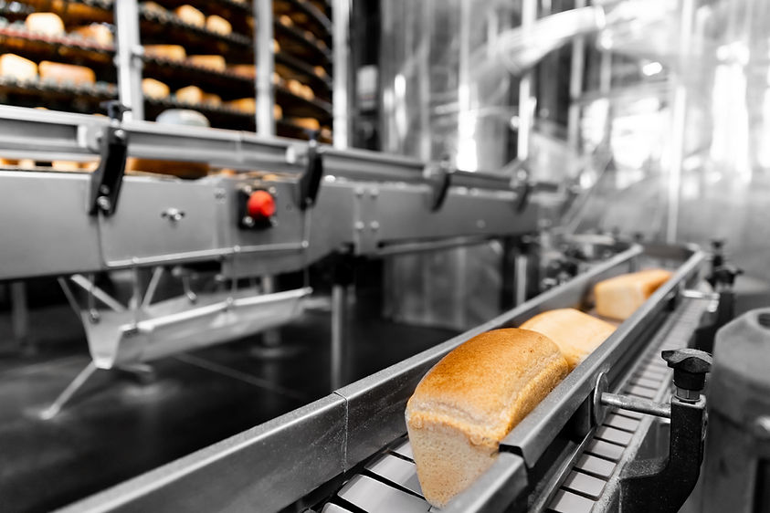 Usine de production de pain
