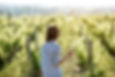 Frau im Weinberg