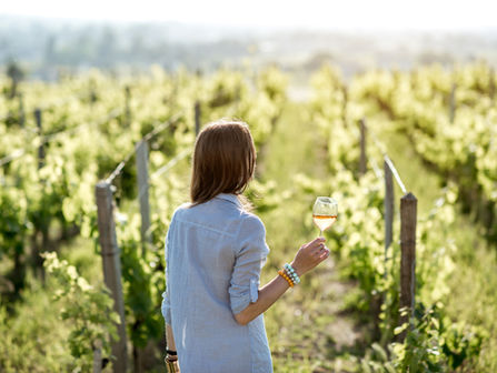 Qual novo alimento julho vai trazer pra sua vida?