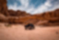 Visit the Grand Canyon - Tour Management software