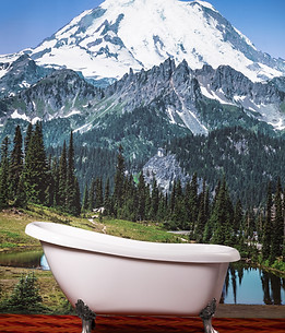 Freestanding Bathtub