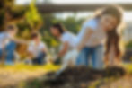 Community Gardening Activity