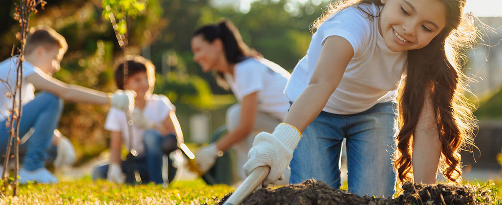 Plant a Tree