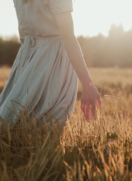 Field At Sunset